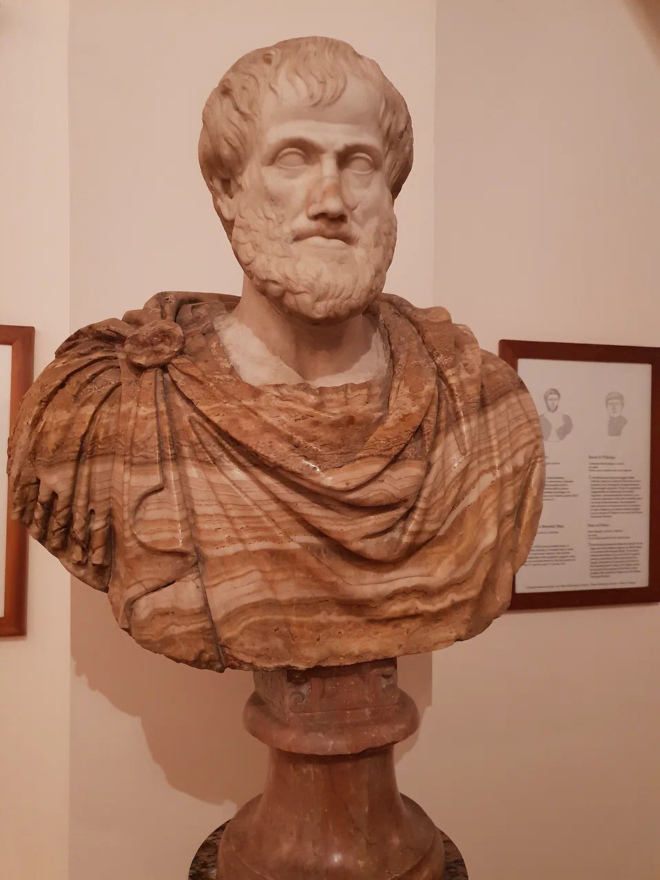 Bust of Aristotle 02