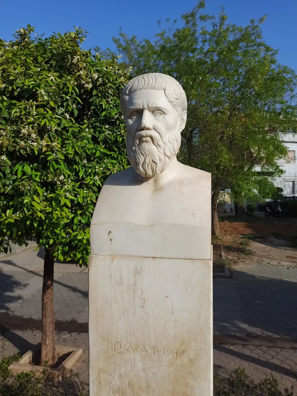 Head of plato at Platos Academy