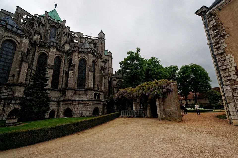 Chartres - Les Jardins de l'Évéché - Choir Chapels of Chartres Cathedral - Flowering Wisteria 03