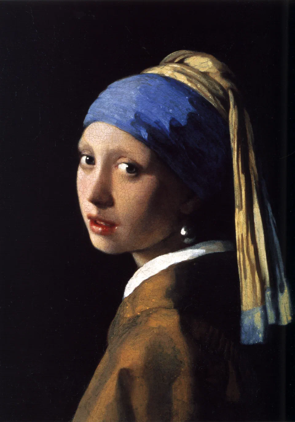Het meisje met de parel ( Girl with a Pearl Earring )