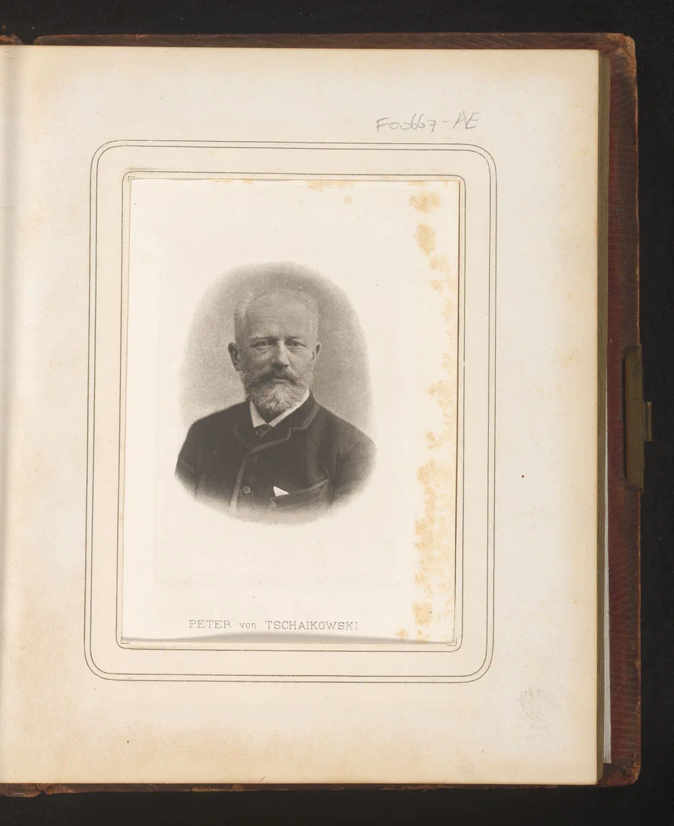 Portret van Pyotr Ilyich Tchaikovsky, RP-F-F00667-AE