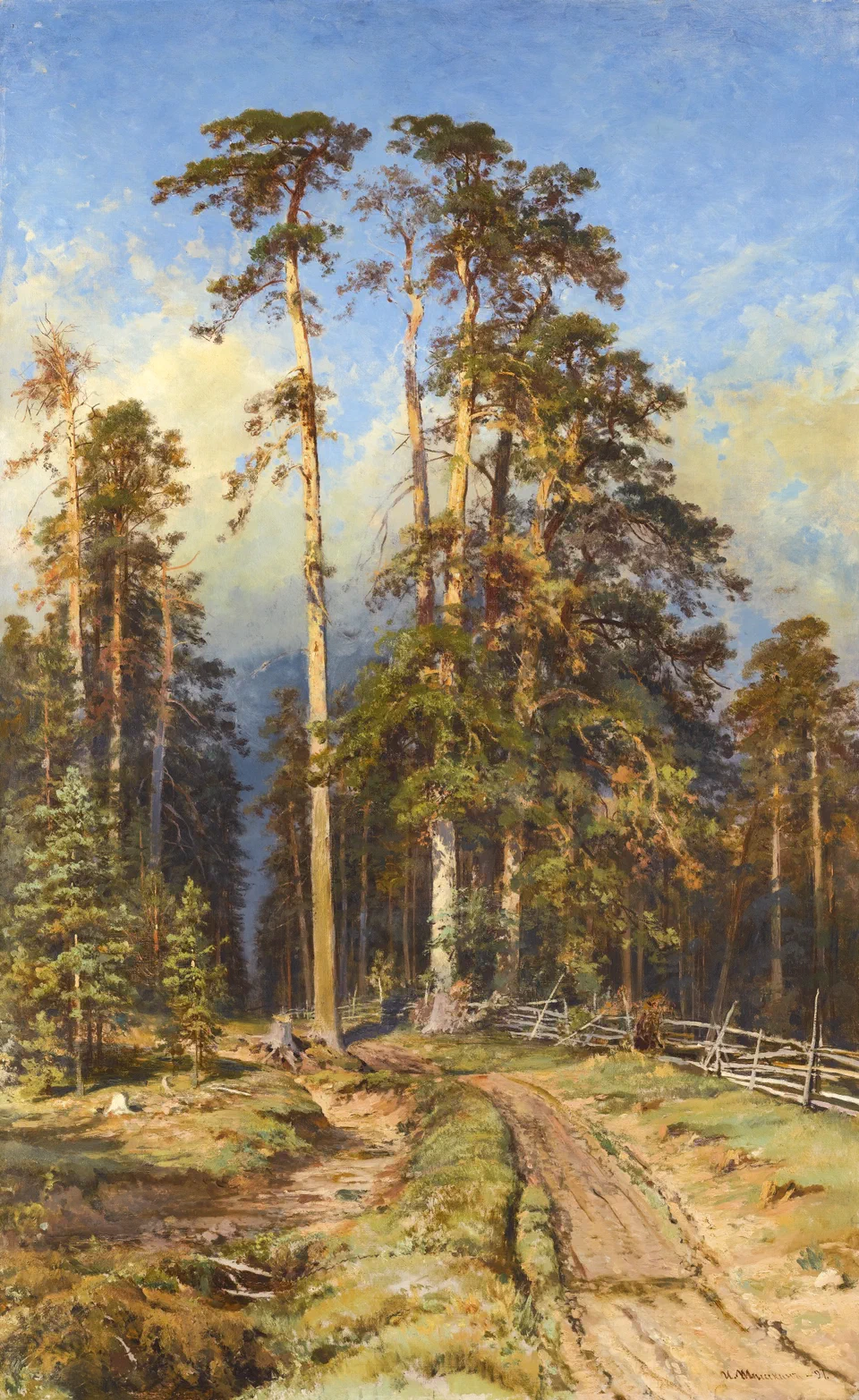 Pine Forest