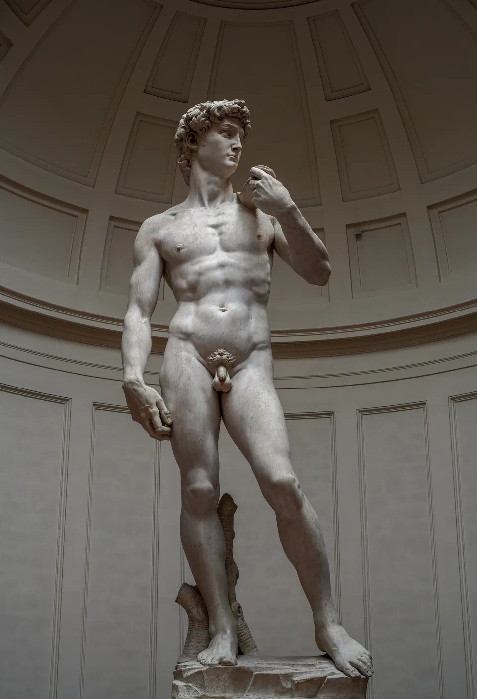Michelangelo's David - right view 2