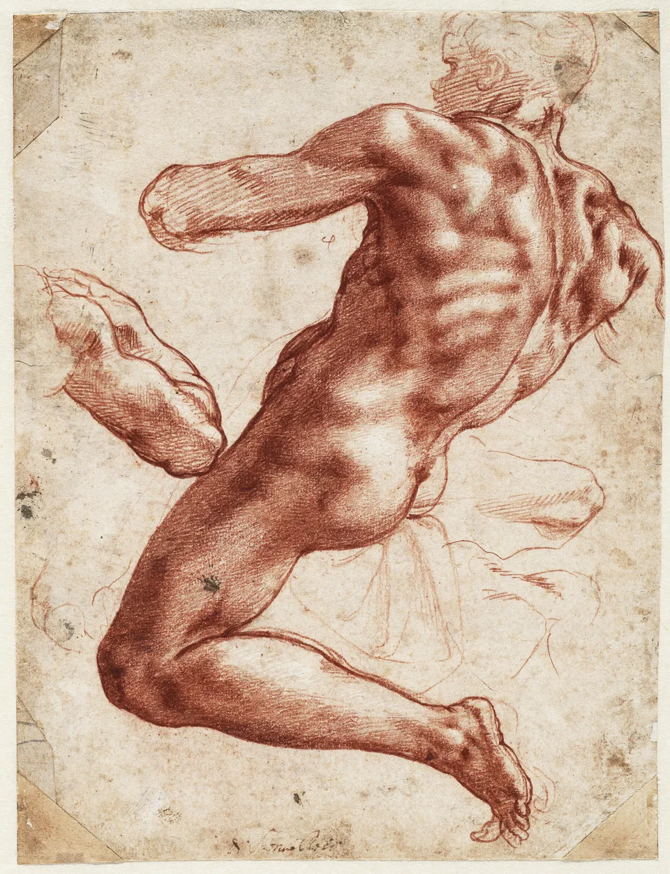 Study of an Ignudo